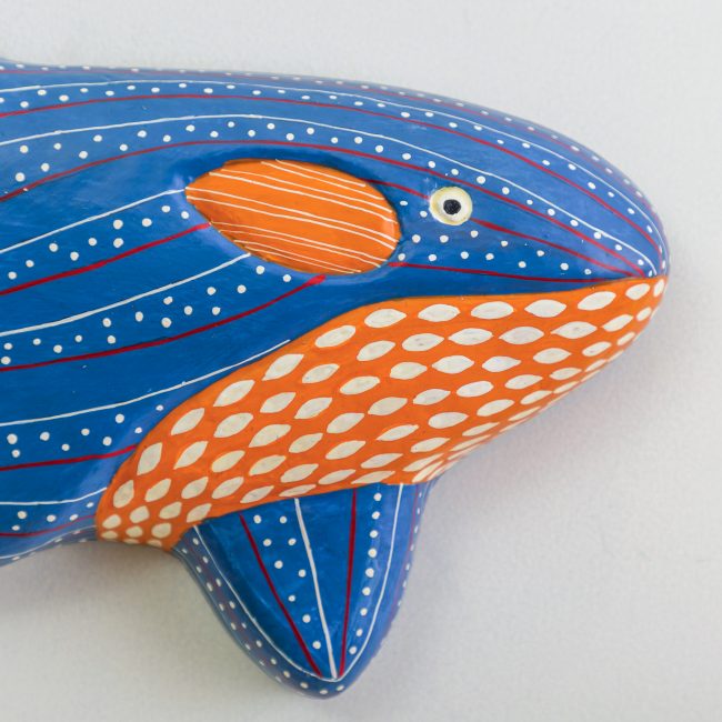 shark