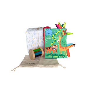 montessori educational toys​